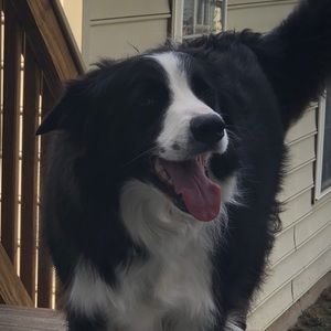 Meet your Posher, Garrett